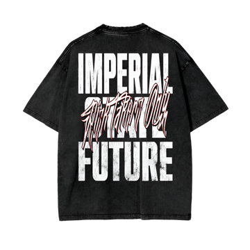 SILVER SKULL Acid Wash heavyweight T-shirt